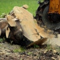 Fayetteville, Georgia Tree Service: A Comprehensive Guide to Stump Grinding Services