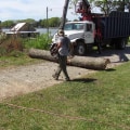 Fayetteville Georgia Tree Service: Offering Free Estimates for Quality Tree Care
