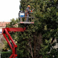 The Importance of Emergency Tree Removal Services in Fayetteville, Georgia