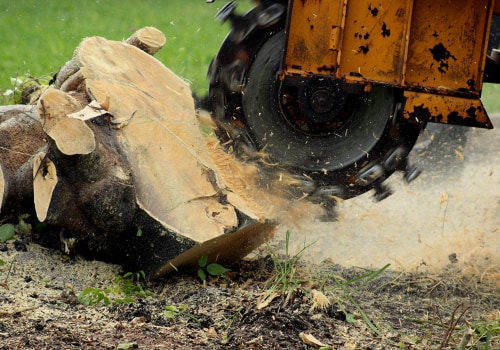 Fayetteville, Georgia Tree Service: A Comprehensive Guide to Stump Grinding Services