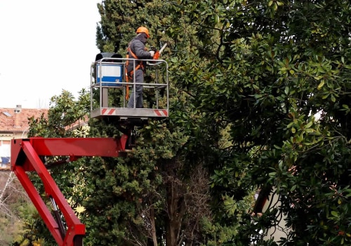 Understanding Tree Removal Fees in Fayetteville, Georgia